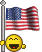 usflag